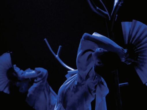 “THE CYCLE OF LIFE” By Anna Ros