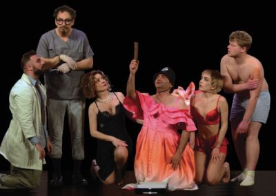 “WHAT DID THE HEAD MAID SEE?” By Joe Orton