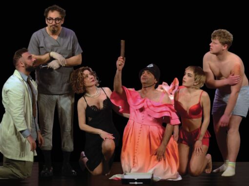 “WHAT DID THE HEAD MAID SEE?” By Joe Orton