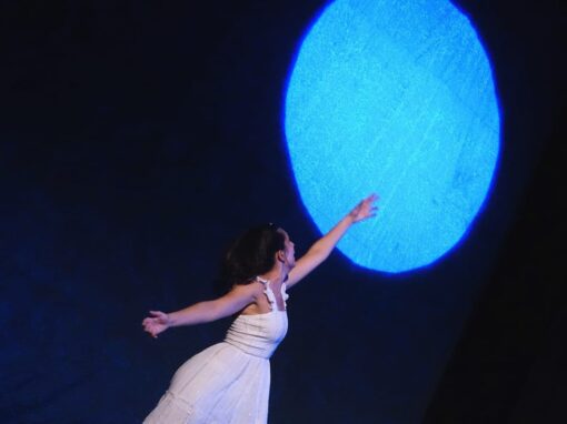 FIREWORKS – SPARKS OF LIFE