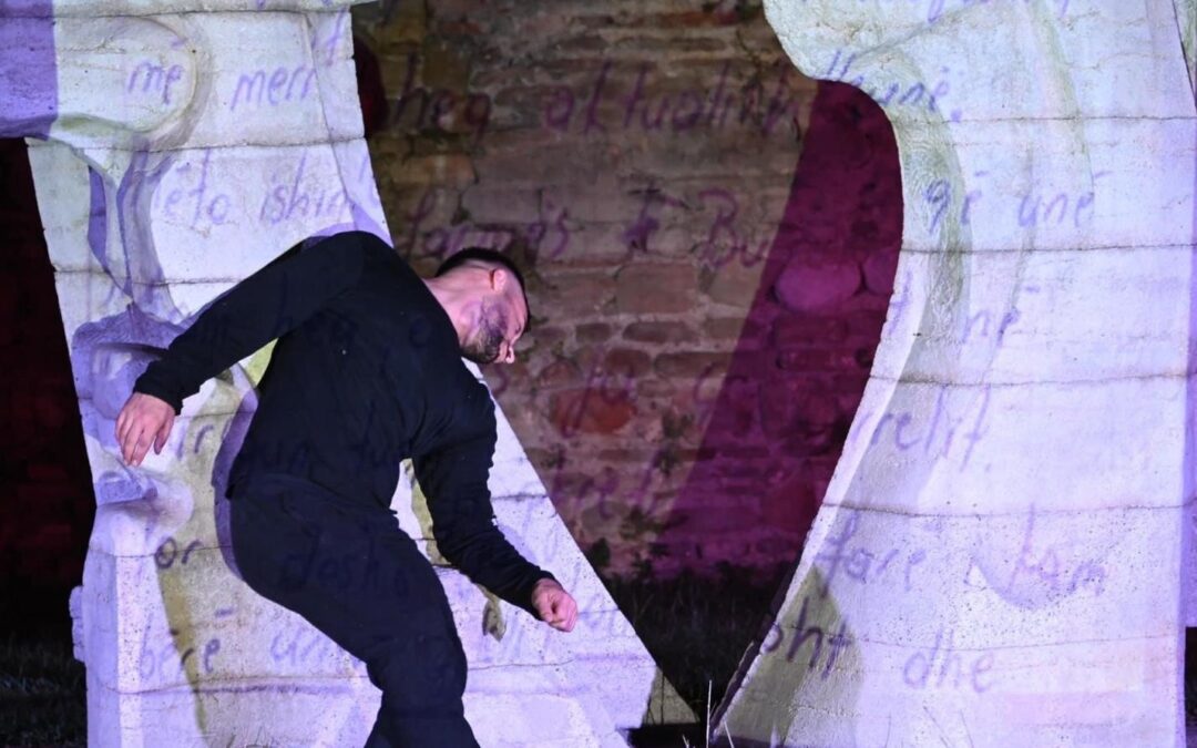 “Root” By Artan Ibershimi